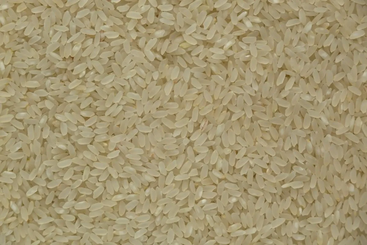 rice grains