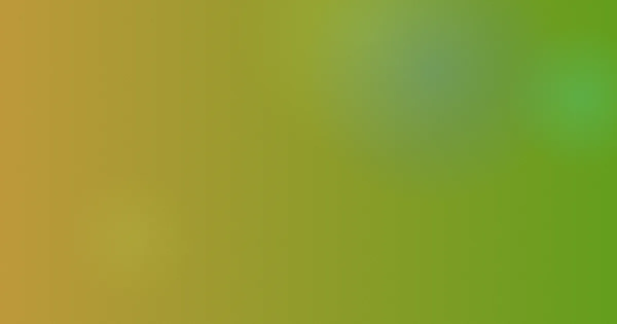 高启盛是什么：一篇讲透